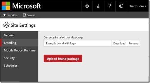 New SSRS 2016 Custom Brand Package Feature-Default Page