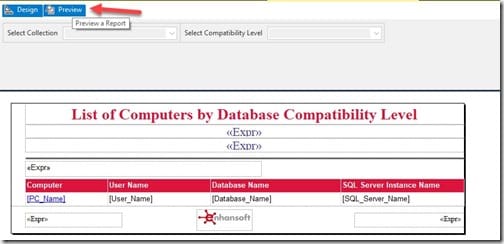 Add the Total Number of Computers in a SSRS Table - Preview Tab