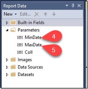 SSRS Date Range Prompt - Report Data