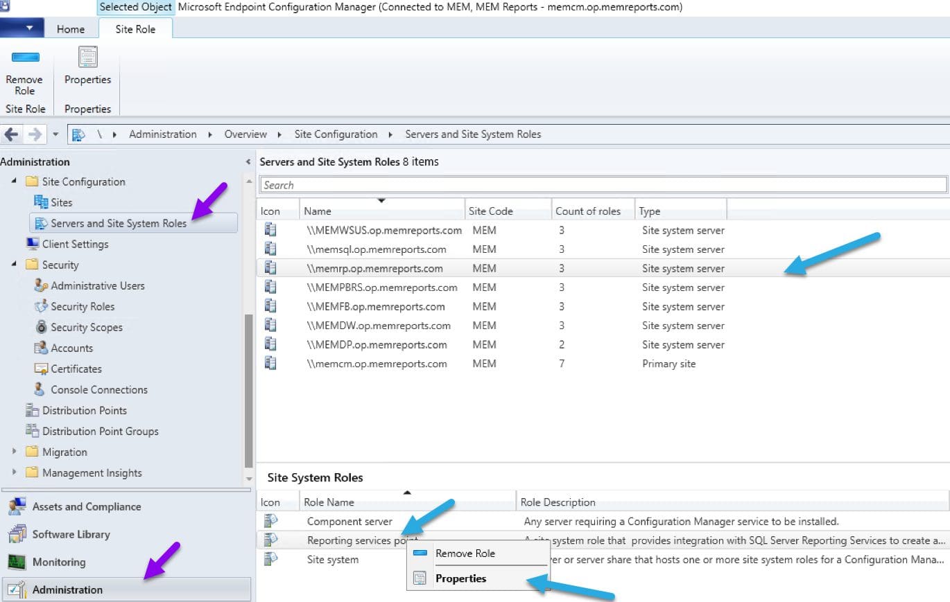 Accessing the Reporting server point prompties