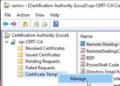 Using you CA to find your template name. 